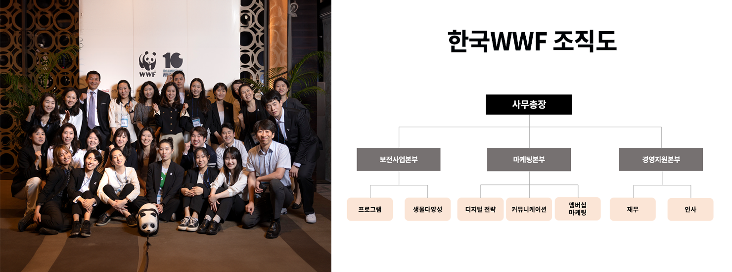 wwf 직원들 사진