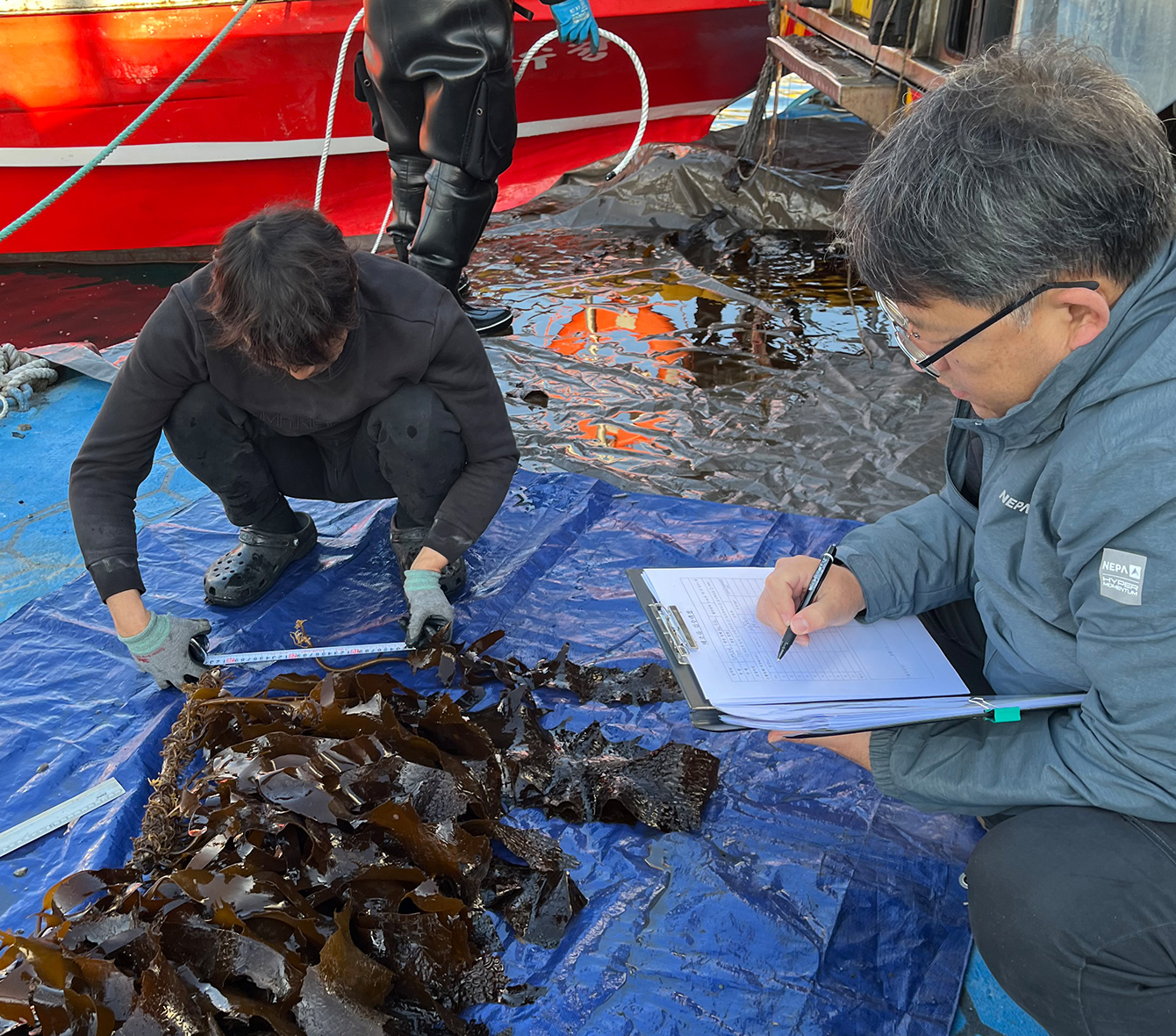 <span>기후위기 대응을 위한 블루카본</span>